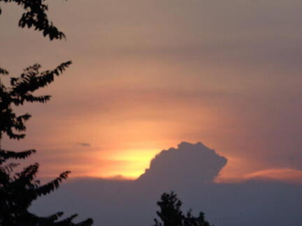 sun s dark