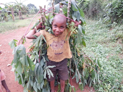 boy with branches